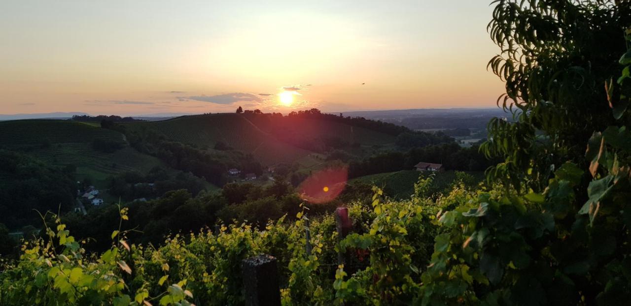 Agroturism Jures Villa Ljutomer Buitenkant foto