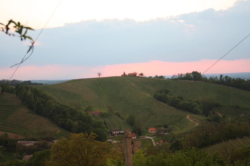Agroturism Jures Villa Ljutomer Buitenkant foto