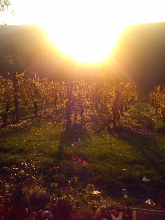 Agroturism Jures Villa Ljutomer Buitenkant foto