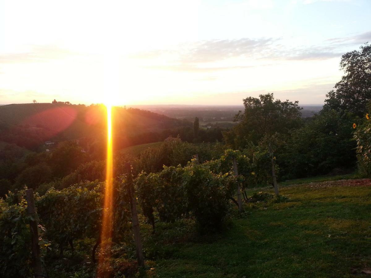 Agroturism Jures Villa Ljutomer Buitenkant foto