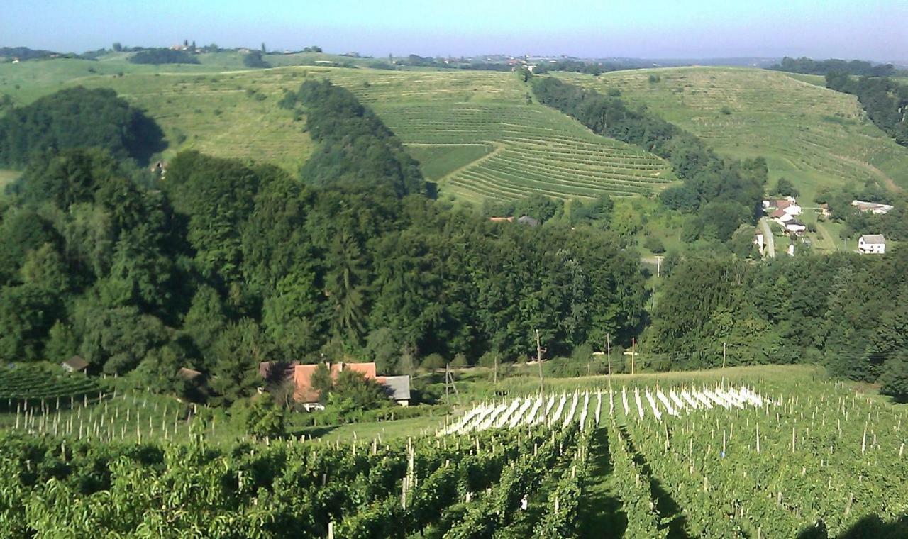 Agroturism Jures Villa Ljutomer Buitenkant foto